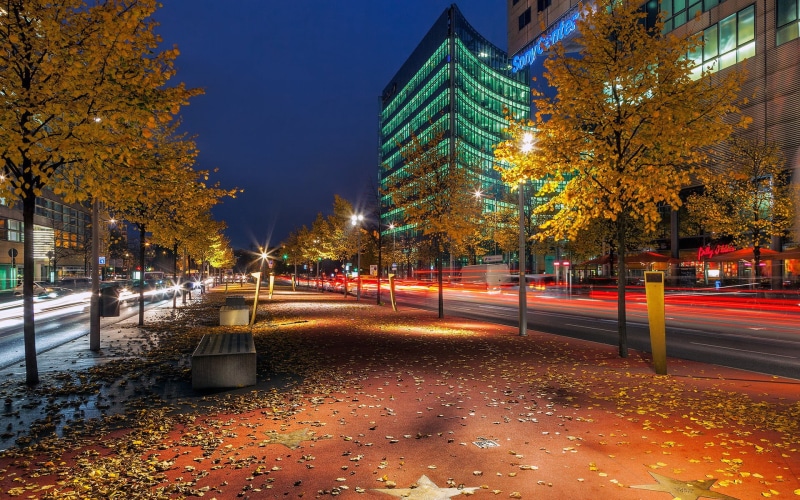 nature, building exterior, no people, illuminated, long exposure, tree, plant part, street, transportation, change, trees, footpath, built structure, fall