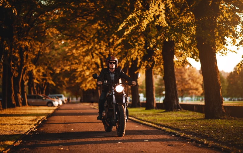 road speed, casual clothing, focus on foreground, nature, fine morning, change, plant, young adult, riding, young women, cruiser, black, real people, Cafe Racer