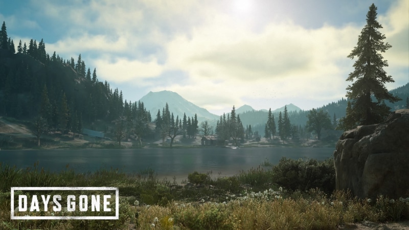 Days Gone, 1080P, video games