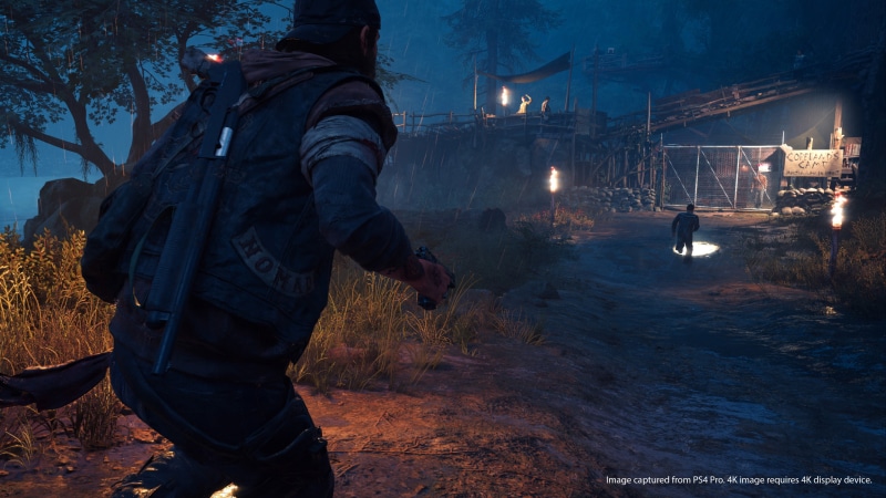 Days Gone, fire, flame, land, warm clothing, night, people, standing, real people, video games, water, men, burning, tree, winter, illuminated, lighting equipment