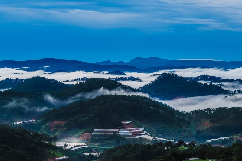 plant, tree, dalat, vietnam, no people, architecture, hill, mountain, blue, valley, environment, adventure, backpacker, pine, day, non-urban scene, forest