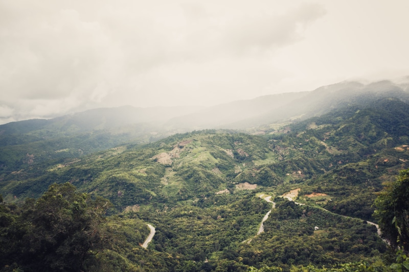 trees, rainforest, mountain, cloud - sky, scenics - nature, mountain range, landscape, beauty in nature, day, dalat, non-urban scene, 5K, travel, no people