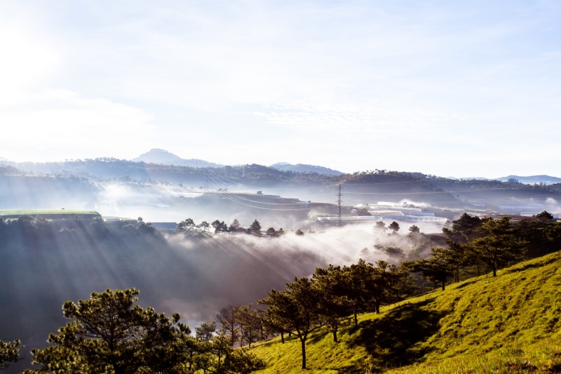 sunshine, dawn, natural, sky, plant, environment, valley, flower, pagoda, tranquility, ray light, yellow, blossom, nature, tree, beauty in nature, cloud - sky