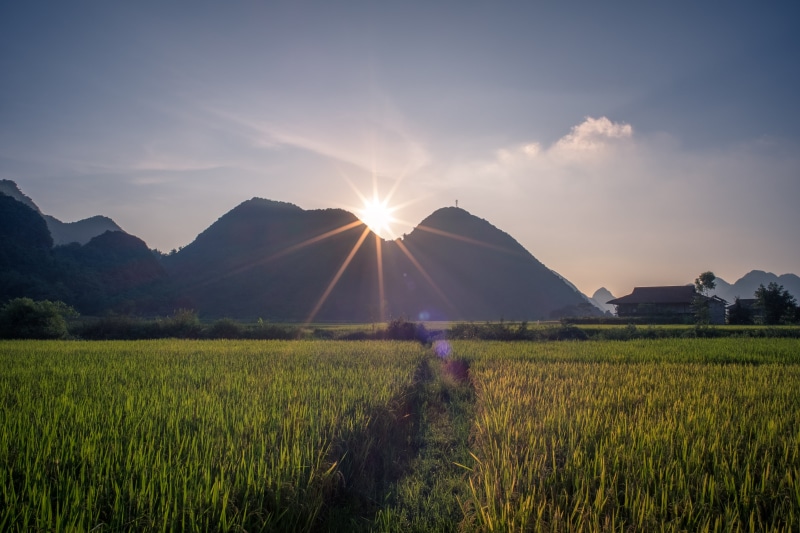 tranquility, environment, farmer, meadow, tranquil scene, sun, scenics - nature, grass, asia, growth, scenery, summer, lang son, sa pa, sunlight, sunbeam