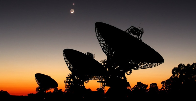 tree, communication, butterfly - insect, parabolic antenna, three, 2K, Australia, orange color, sky, insect, The moon, connection, antennas, no people