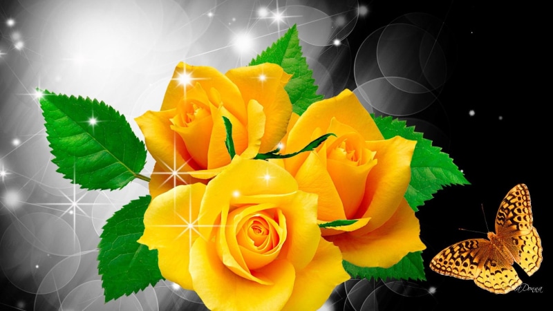 roses, papillon, lustre, gleam, 1080P, luster, butterfly, shine, flowers, illustration, twinkle, glitter, glint, yellow, scintillate