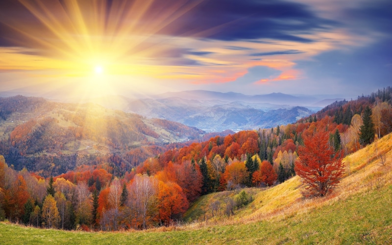 landscapes, background, sun, hills, shining, mountains, forest, 2K