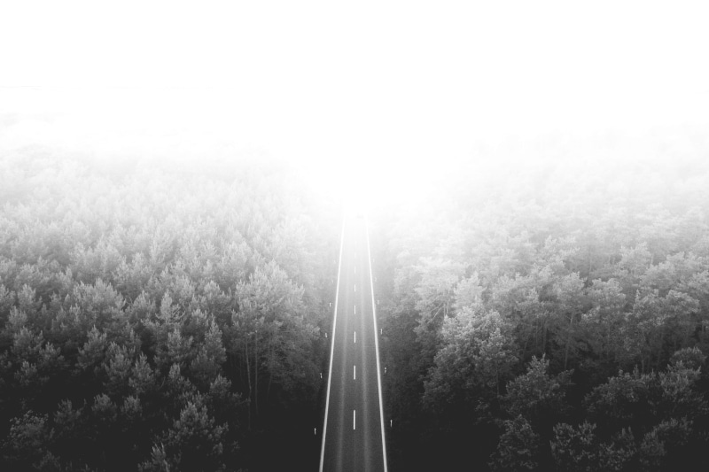 roads, outdoors, forest, black And White, minimalistic, brightly lit, tree, Lonely Road, road, simple, nature, foggy, beauty in nature, scenics - nature