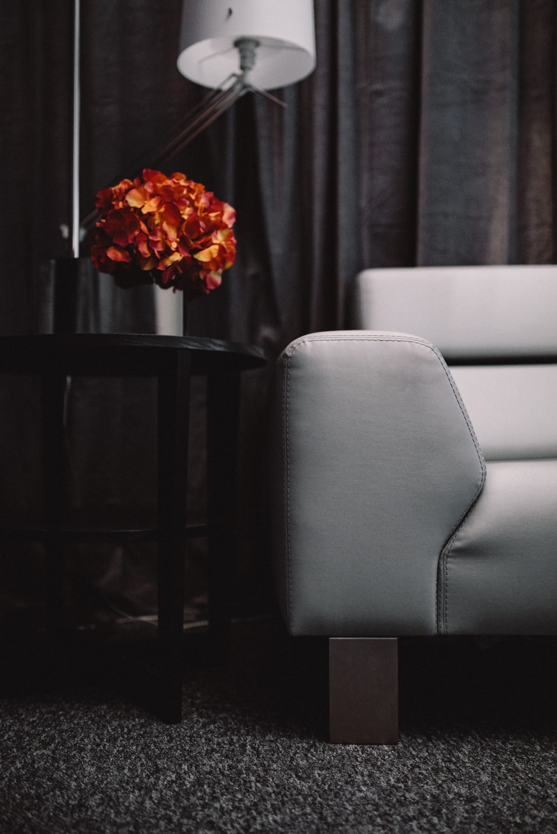 furniture, home Interior, decoration, minimalist, luxury, plant, home, design, 5K, elegance, stuffed, decor, nature, no People, living Room, comfortable