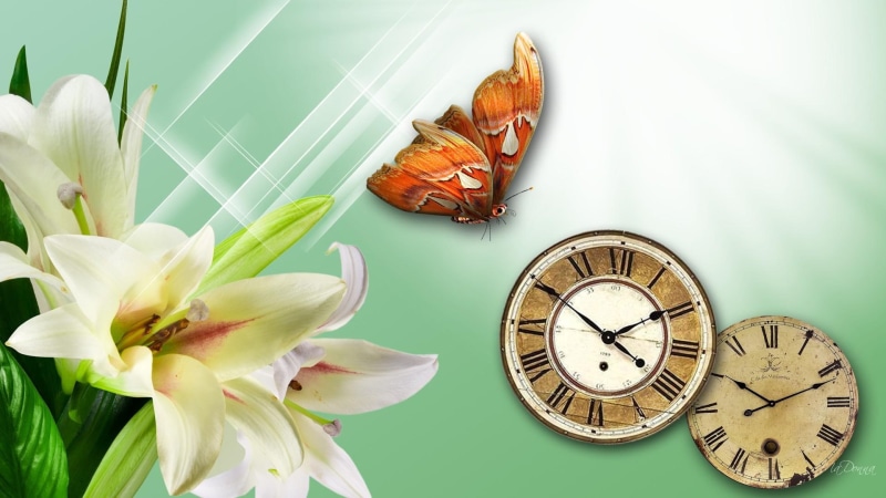 time, sparkle, flower, vintage, 3d and ab, firefox persona, light, butterfly, glow, lily, 1080P, green, clocks
