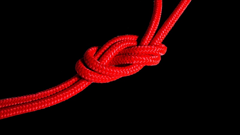 sport, woven, technology, teamwork, strength, conquering adversity, steel, red knot, yarn, black background, animal, close-up, communication, rope, red