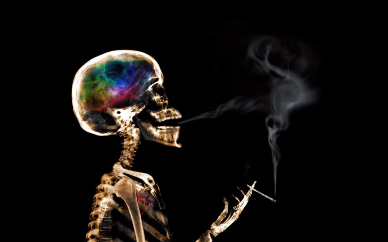 vulnerability, fragility, reflection, science, skeleton, technology, studio shot, indoors, skull, bizarre, light bulb, bone, single object, smoking, artwork