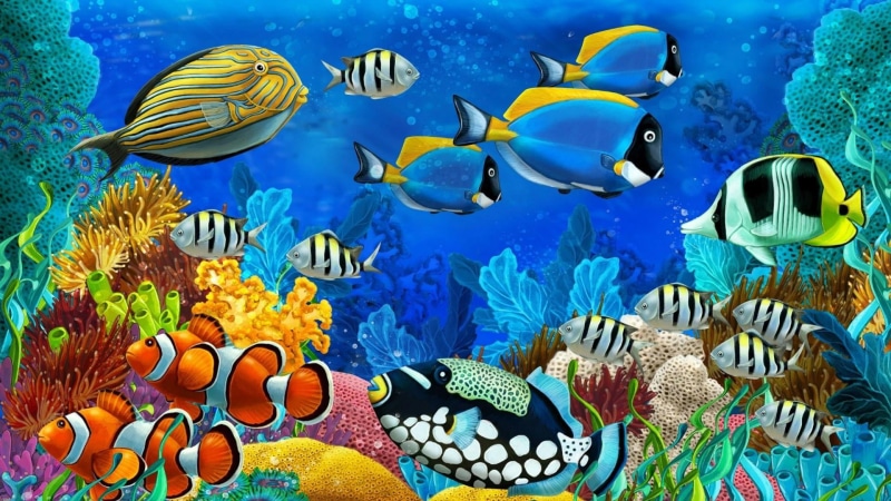 ecosystem, underwater world, sea, coral, colorful, school of fish, vertebrate, undersea, illustration, 1080P, large group of animals, multi colored, animals in the wild