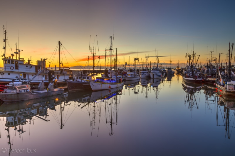marina, docked, nautical Vessel, sunrise, harbor, Richmond  British Columbia, Pink and Blue, motor boats, sea, water, white, motor, 5K, brown, boats, Canada