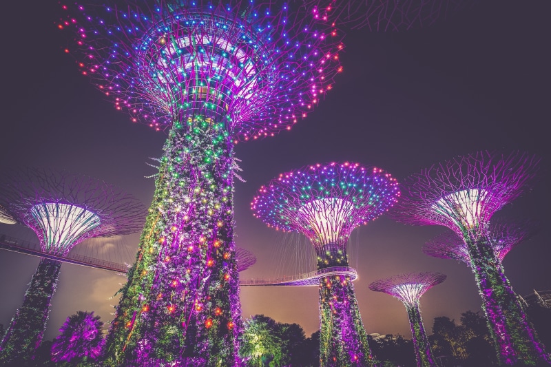 decoration, plant, sky, singapore, celebration, traditional Festival, built structure, glowing, lighted, architecture, red, no people, tree, fun, multi Colored