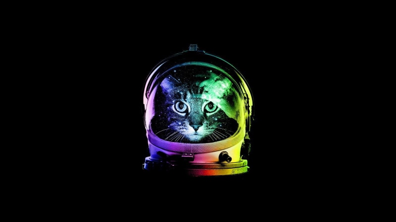 single object, cut out, black background, studio shot, artificial, close-up, nature, fuel and power generation, transparent, lighting equipment, currency