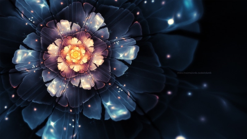 plant, freshness, no people, vulnerability, petal, artificial, beauty in nature, lighting equipment, luxury, flowering plant, studio shot, nature, flower head