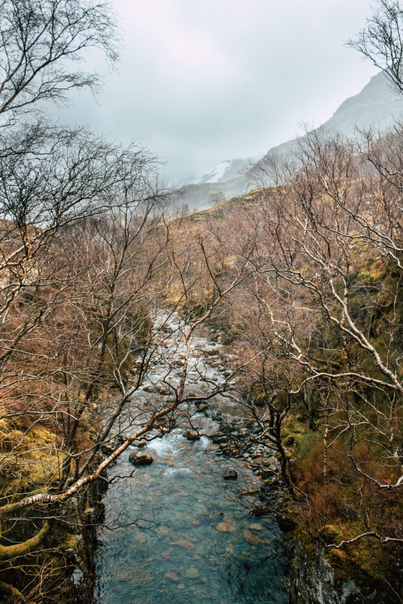 day, karg, architecture, tree, nature, gloomy, highlands, land, background, hill, flat, forest, stirling bridge, line, distant view, non-urban scene, climbing wall