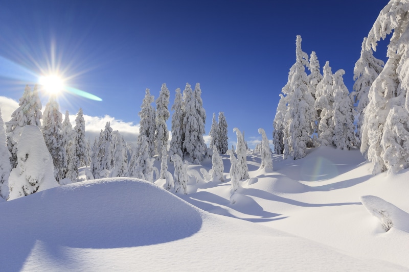 ate, winter, 5K, covered, Canada, Vancouver, snow, British Columbia, the snow, trees