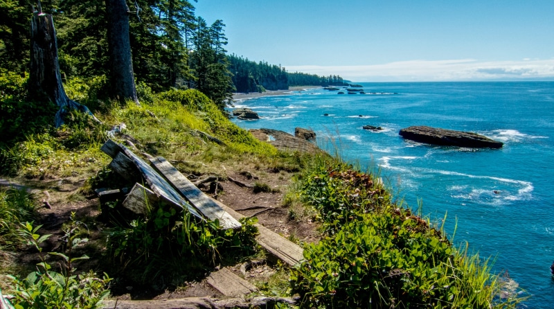 shore, tree, hiking, transportation, beach, canada, nature, nautical vessel, port renfrew, no people, day, land, plant, west coast trail, tranquil scene