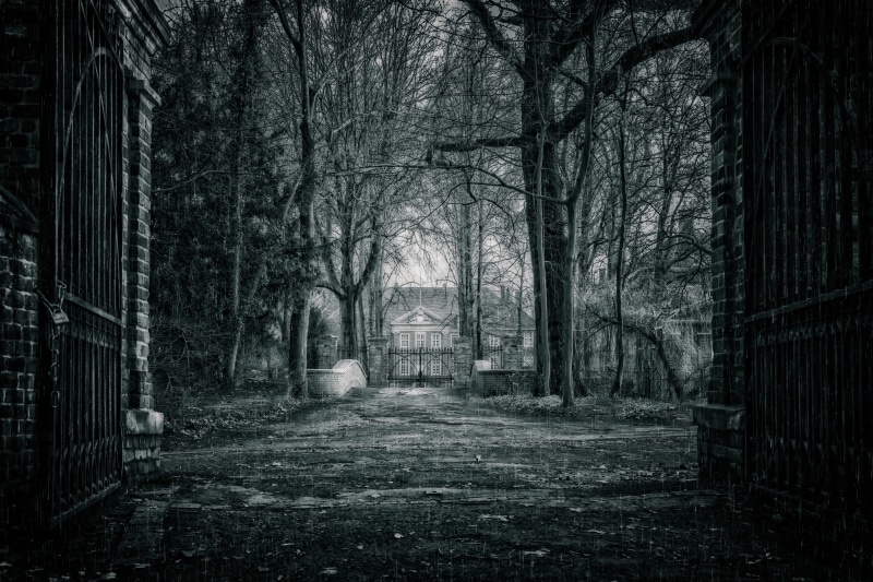 tranquility, dream, storm, forest, direction, grid, mysterious, fairy tales, goal, the way forward, empty, mood, magic, tranquil scene, spooky, trees, no people