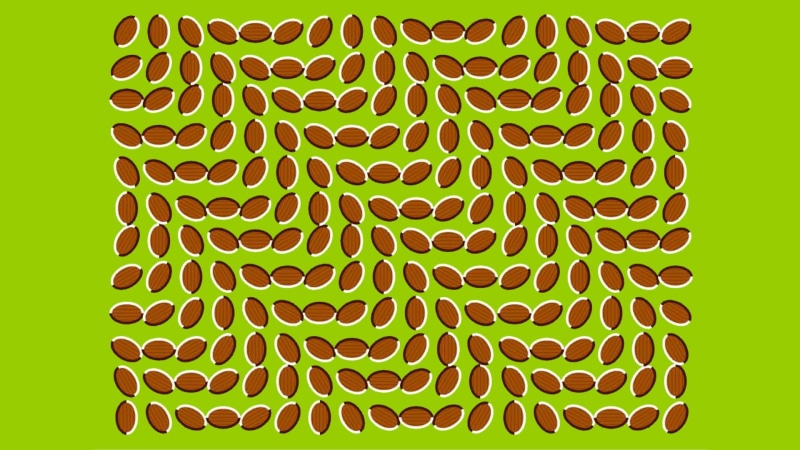 optical illusion, graphic design, 1080P, green background