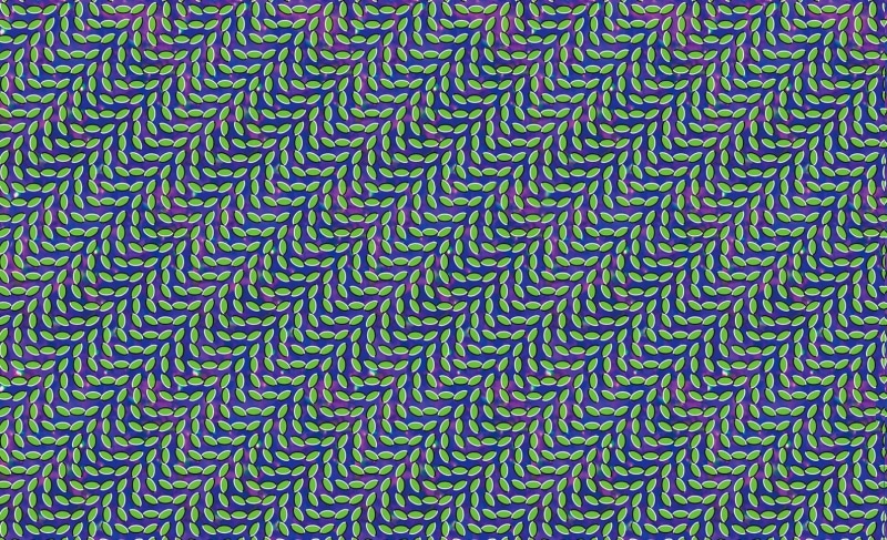 textile, pattern, craft, green color, high angle view, art and craft, outdoors, no people, geometric shape, repetition, close-up, day, optical illusion pattern abstract leaves animal collective merriweather post pavilion