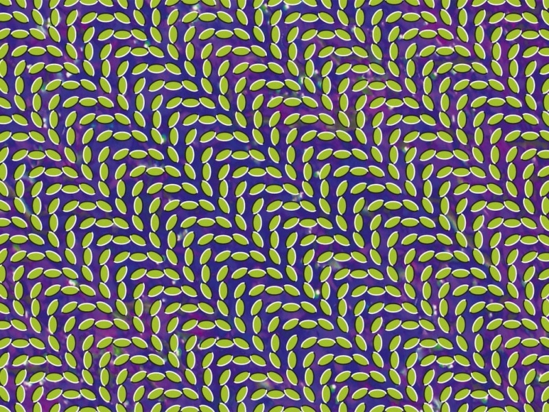 full frame, abstract, green color, backgrounds, textured, striped, food, colored background, beauty in nature, plant, leaf, Animal Collective, Merriweather Post Pavilion
