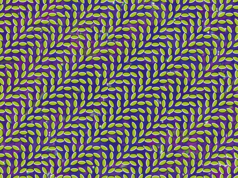 outdoors, close-up, pattern, textured, green color, optical illusion, album covers, 480P, in a row, no people, plant part, plant, full frame, nature, large group of objects