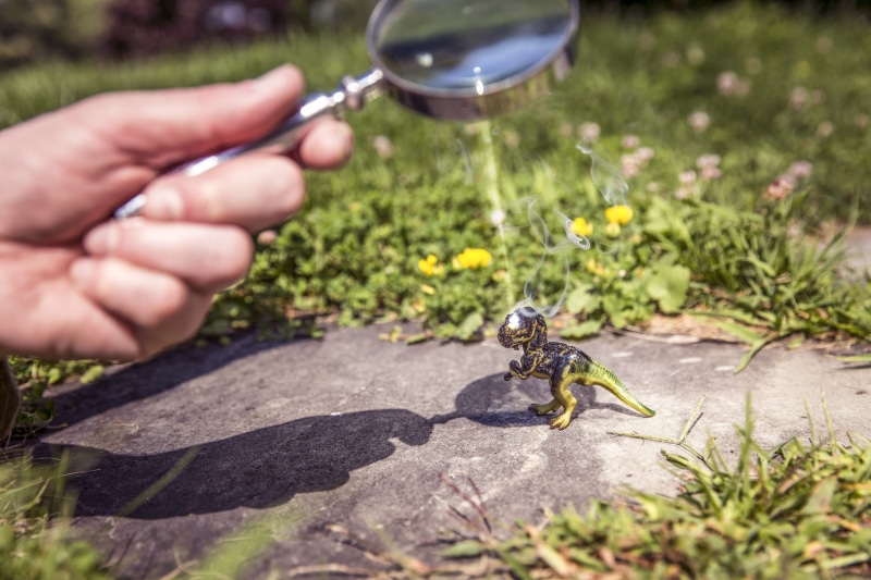 human Hand, destruction, gardening, one person, reflect, growth, focus on foreground, one animal, animals in the wild, dinosaur, glass, holding, focus