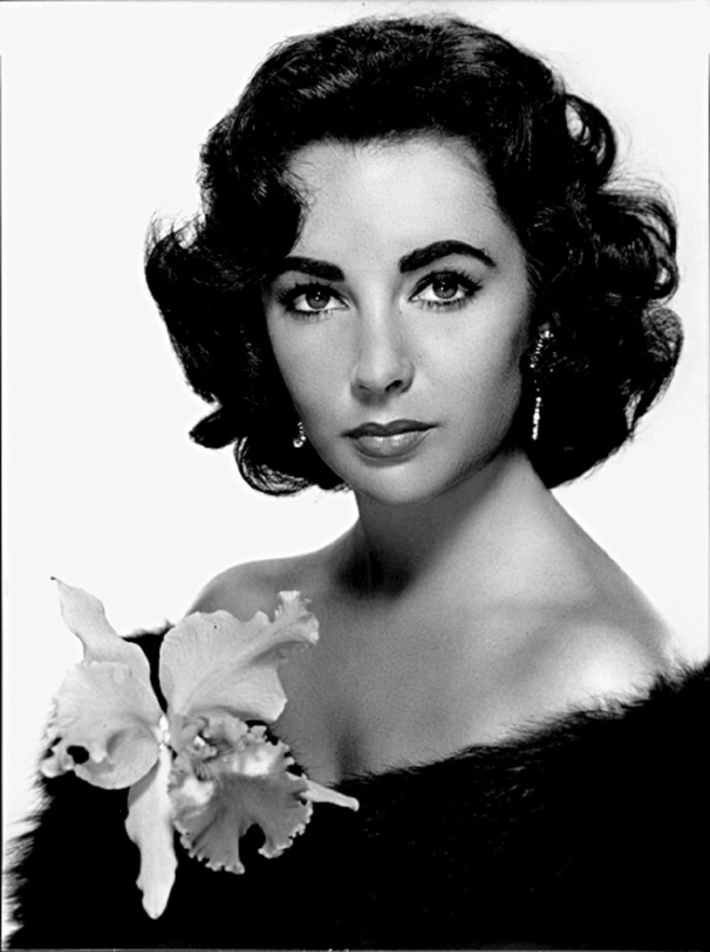white background, young women, fur, shoulder, fashion, portrait, close-up, monochrome, human face, actress, indoors, beauty, flowering plant, flower, hollywood