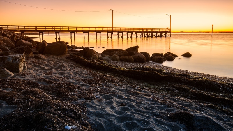 White Rock  British Columbia, Pacific Northwest, golden, Coast, Dusk, Seagulls, black, Surrey, Blackie, Seaside, 4K, black sea, Pier, Sunset, sea, Crescent Beach