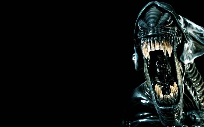 human Skeleton, death, evil, alien, killer, dark, men, teeth, spooky, horror, halloween, plastic, human Head, fear, futuristic, black Background