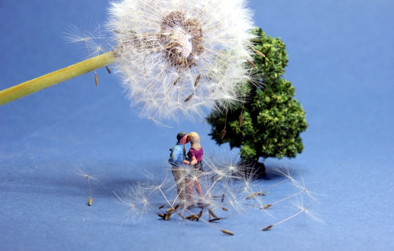 figurine, outdoors, dandelion, lüttje, romance, flowering plant, model construction figure, sky, adult, lovers, day, modelleisenbahn figure, miniature figure