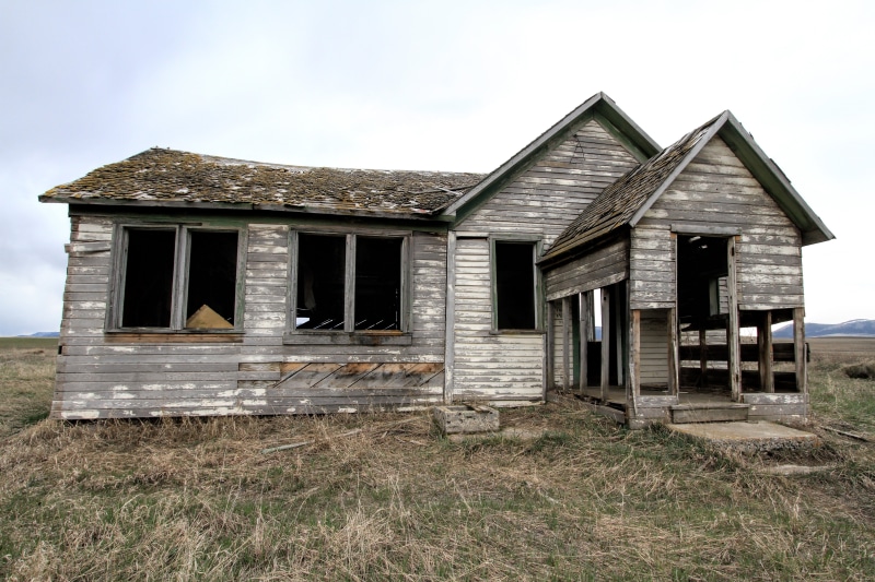weathered, plank, photography, gray, old, rustic, plant, obsolete, rural scene, exterior, architecture, sky, field, broken, house, damaged, cabin, outdoors