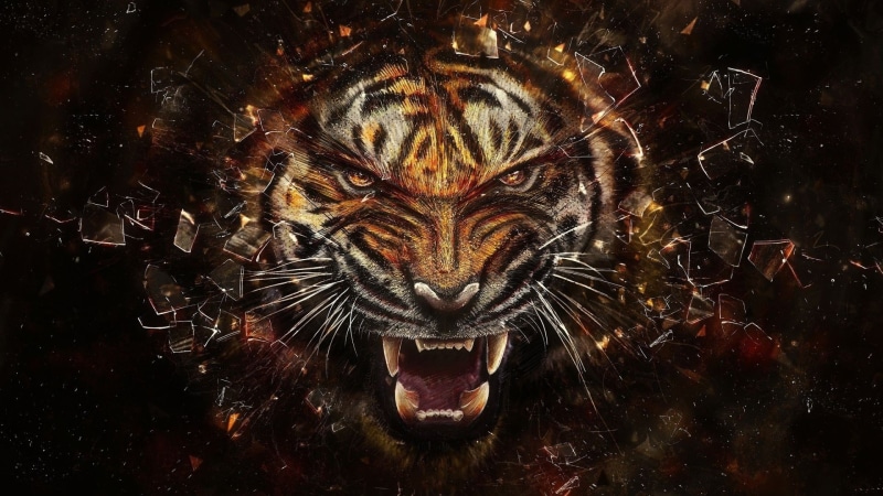 people, art, glass, shards, x, tigers, teeth, hd, 1080P, glasses, animals