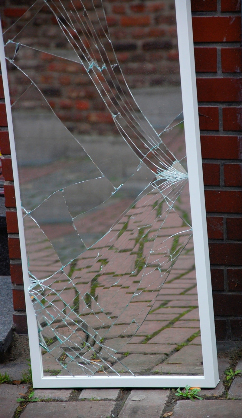 brick wall, wall, built structure, focus on foreground, fragility, building exterior, house, nature, Broken, Glass, Shard, plant, close-up, wall - building feature