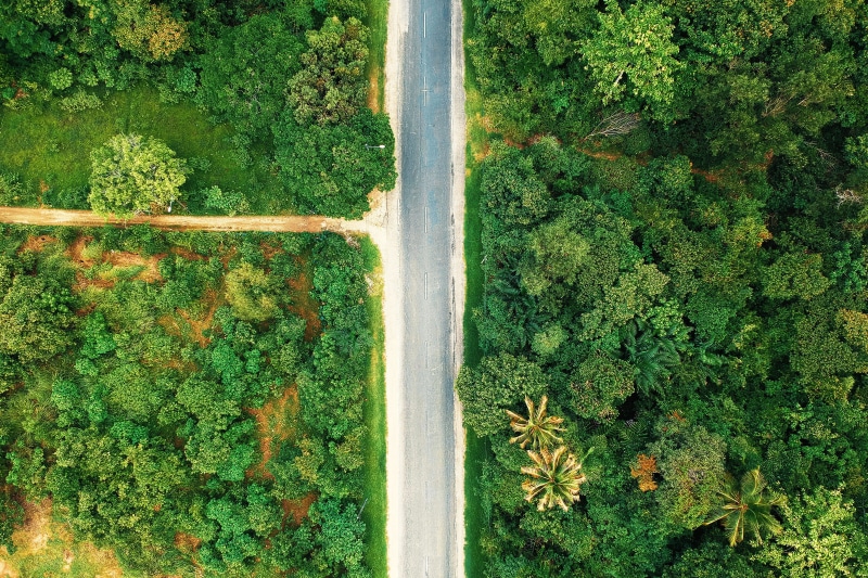 birds eye view, s, tranquility, high angle view, eye, color, scenics - nature, photography, water, plant, day, foliage, trees, aerial shot, green, 4K