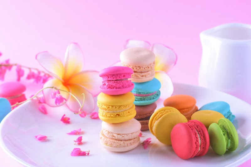 macaron, flowers, 5K, macaroon, pink, dessert, colorful, cakes, french, sweet