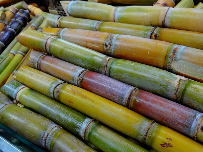 Licorice, bamboo, still life, food, high angle view, indoors, abundance, day, wood - material, large group of objects, Stimulant, for sale, stack, sugar cane harvest