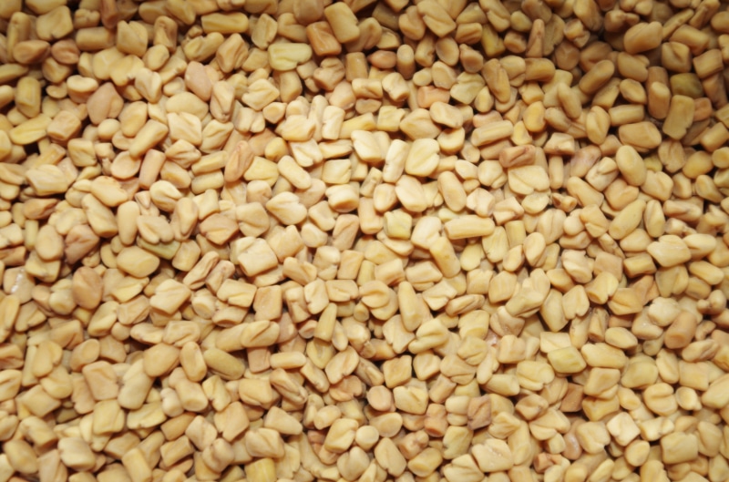 Fenugreek, food, indoors, Health, vegetarian food, corn, crop, wellbeing, cereal plant, organic, agriculture, large group of objects, freshness, 4K, abundance