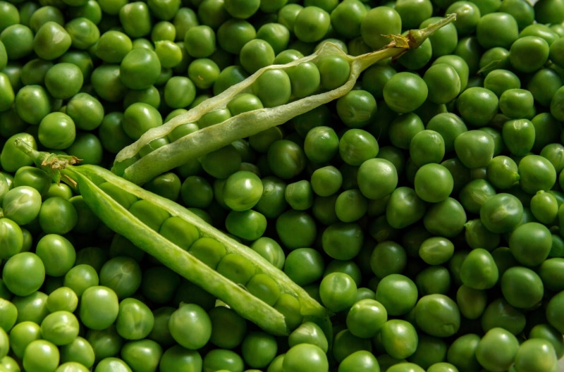 closeup, vegetables, fresh, growth, green color, 4K, freshness, veggies, still life, food and drink, agriculture, close-up, vegetable, day, full frame