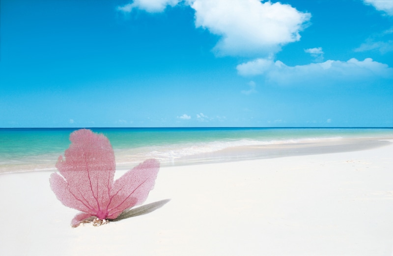 blue, day, no people, Playa Paraiso, Best beaches of 2016, plant, outdoors, water, sand, beach, horizon, Cuba, beauty in nature, turquoise colored, tranquil scene
