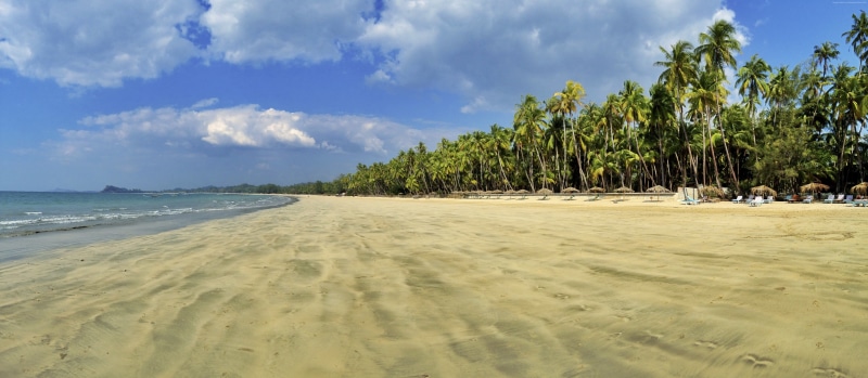 tree, Ngapali, sky, water, vacations, plant, land, tranquility, beach, tropical tree, travel destinations, beauty in nature, coconut palm tree, tropical climate