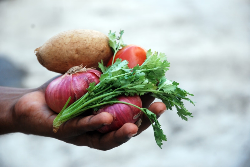 vegetable, tomato, human Hand, onion, food And Drink, parsley, root vegetable, one Person, herb, green Color, holding, 4K, healthy Eating, human body part