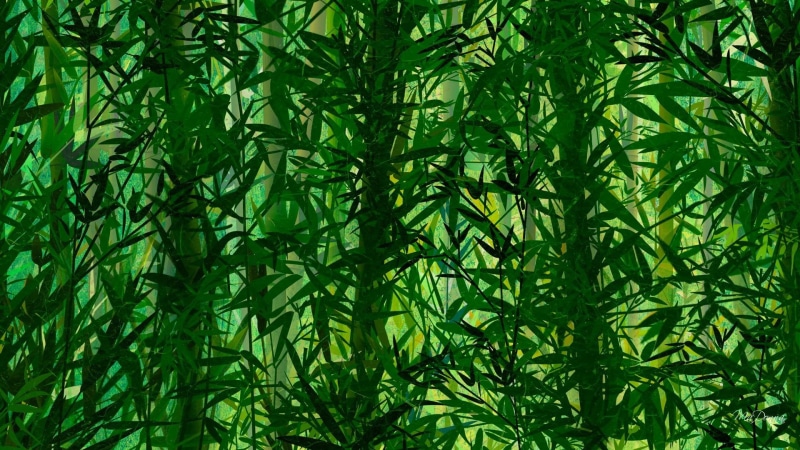 1080P, spring, nature and landscapes, trees, forest, tree, green, summer, bamboo, wild