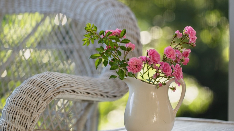garden, gift, day, plant, outdoors, floral, spring, decoration, pink color, table, 1080P, flora, flower, fresh, flower head, bloom, fragility, yellow