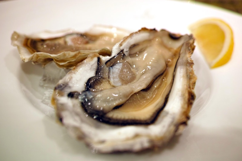 wellbeing, chinese food, crockery, Food, selective focus, Restaurant, Oyster, asian food, prepared Oysters, mollusk, high angle view, healthy Eating, 4K