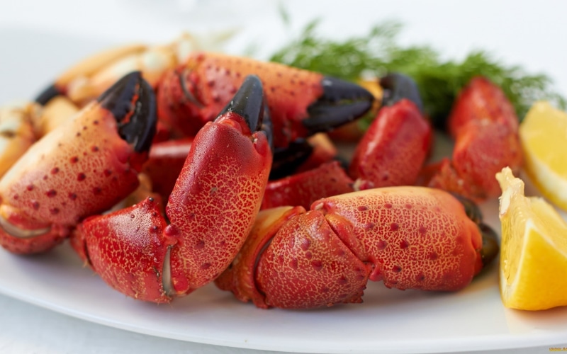 seafood, lobsters, temptation, fruit, table, tropical fruit, indoors, still life, close-up, focus on foreground, wellbeing, plate, crabs, lemons, closeup