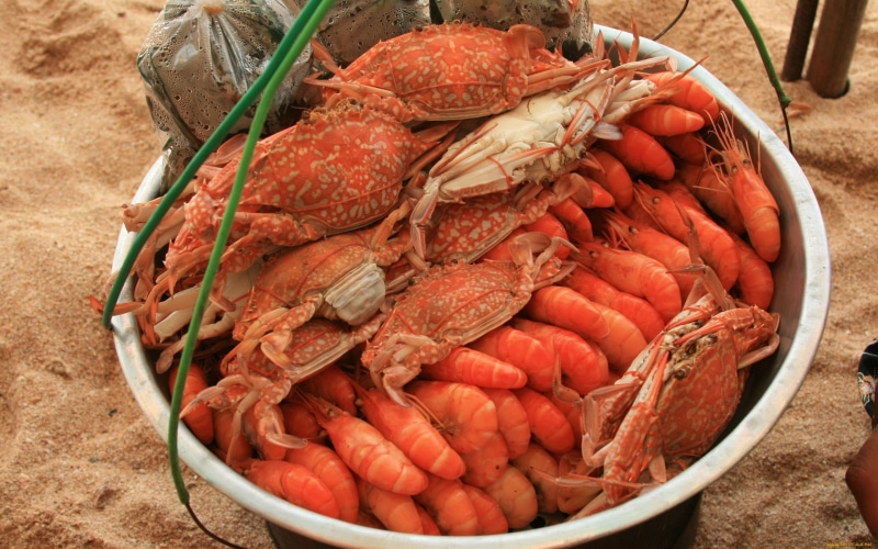 wellbeing, container, seafood, shrimp - seafood, crustacean, still life, high angle view, sea, 2K, large group of objects, for sale, animal, food, foods